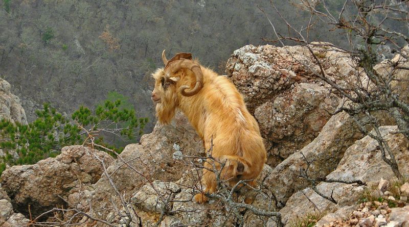 Восхождение к храму Солнца img-7750