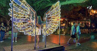 Летний вечер в Ялте img-16168