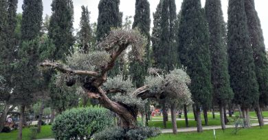 Индивидуальная пешеходная экскурсия по Алуште «Листая страницы истории» img-8643