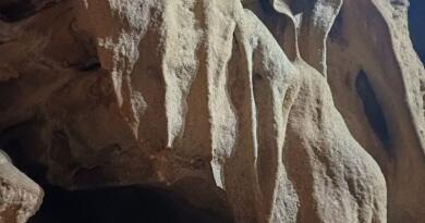 Форосское царство: от гор до моря img-16192