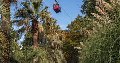 Парк "Дендрарий"
