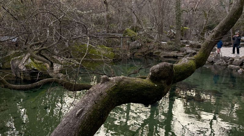 Большая обзорная экскурсия по Южному берегу и морю. Новые и самые интересные локации впервые для туристов. img-14643