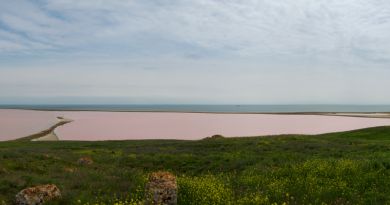 Розовое Кояшское озеро. Мыс Опук. img-12416