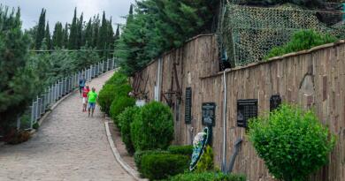 Крым на ладони img-16422