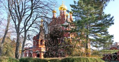 Топловский монастырь img-11007