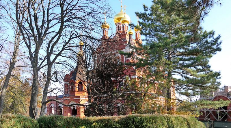 Топловский монастырь img-11007