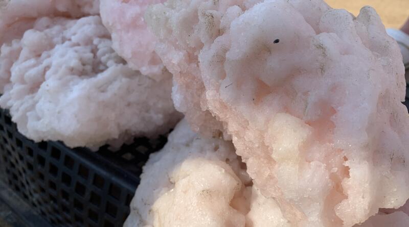 Сердце Евпатории img-16066