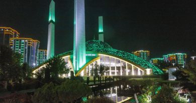 Город Аргун