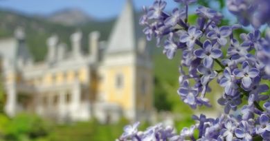 Императорские дворцы Крыма img-6725