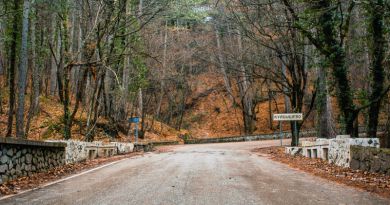 Ай Петри и морская прогулка. img-8446