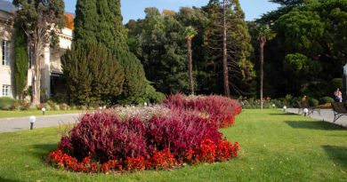 Никитский ботанический сад. Бал Хризантем img-8503