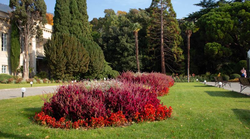 Никитский ботанический сад. Бал Хризантем img-8503