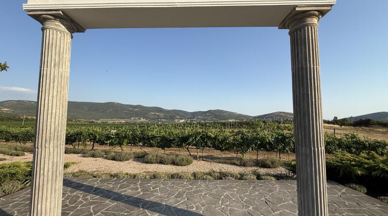 Летний вечер в Севастополе. Вино и море img-16224