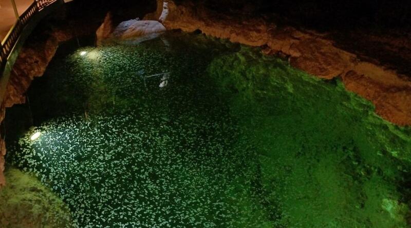 Великие тайны горы Чатыр - Даг: пещеры Эмине-Баир-Хосар и Мраморная img-16147