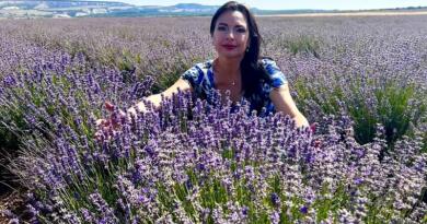 Крымский Прованс и великолепная лаванда img-16295