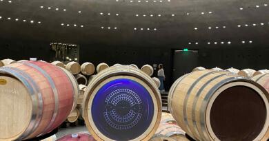 День Мечты (Mriya Resort & SPA 5*незабываемое время на курорте премиум-класса) img-15378