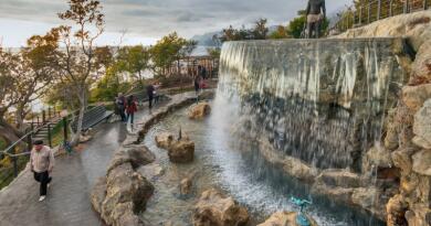 Винный парк Winepark отель Мрия