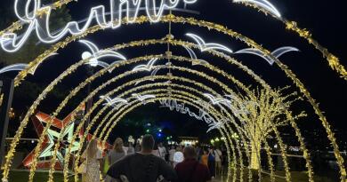 Летний вечер в Ялте img-16156