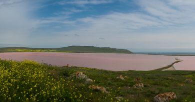 Розовое Кояшское озеро. Мыс Опук. img-12415