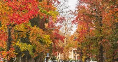 Парк "Ривьера"