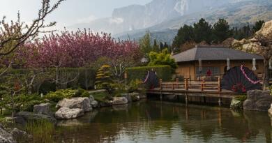 Японский сад "Шесть чувств" в отеле "Мрия"