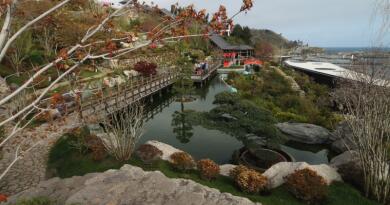 Японский сад "Шесть чувств" в отеле "Мрия"