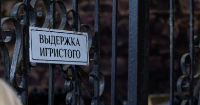 Царство виноградной лозы img-16802