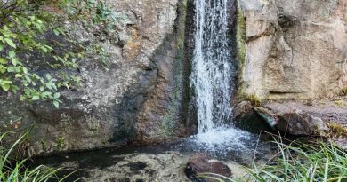 Лучшее в Крыму : Воронцовский дворец , замок "Ласточкино гнездо" и морская прогулка в Ялте img-14639