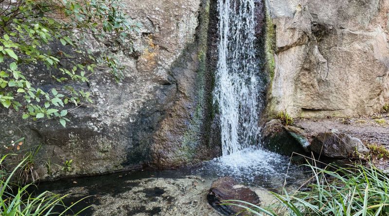 Лучшее в Крыму : Воронцовский дворец , замок "Ласточкино гнездо" и морская прогулка в Ялте img-14639