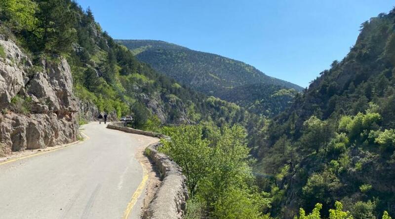 Форосское царство и морская прогулка img-16186