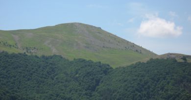 Крымский природный заповедник