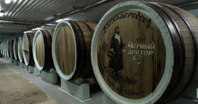 Царство виноградной лозы img-16807