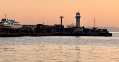 Лучшее в Крыму : Воронцовский дворец , замок "Ласточкино гнездо" и морская прогулка в Ялте img-14579