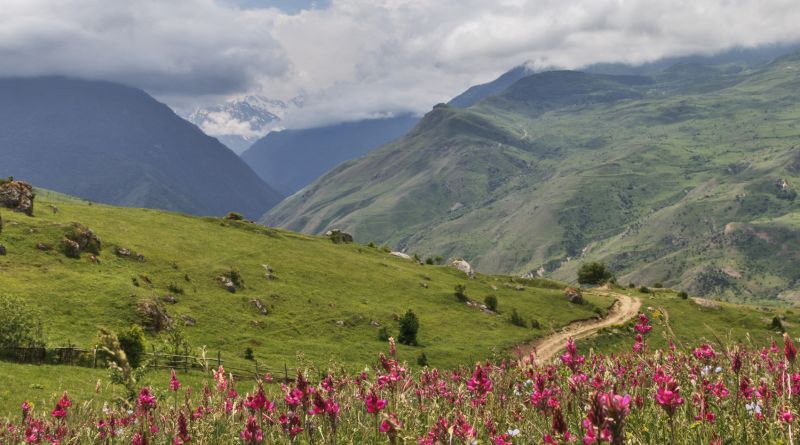 Северная Осетия: Дигория img-11862