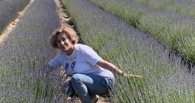 Крымский Прованс и великолепная лаванда img-16294