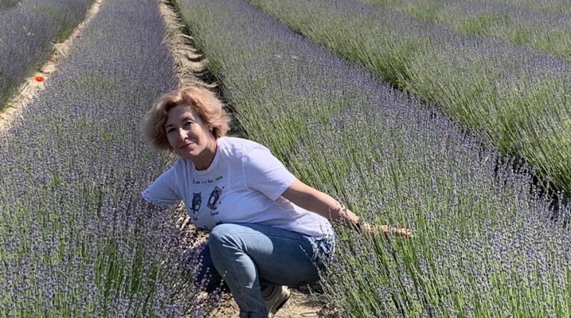 Крымский Прованс и великолепная лаванда img-16294