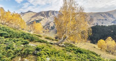 поселок Архыз