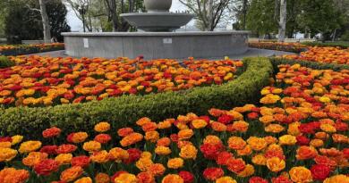 Пешеходная экскурсия по площади Нахимова img-16287