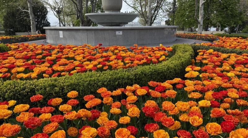 Сердце Севастополя и морская прогулка по двум бухтам img-16287