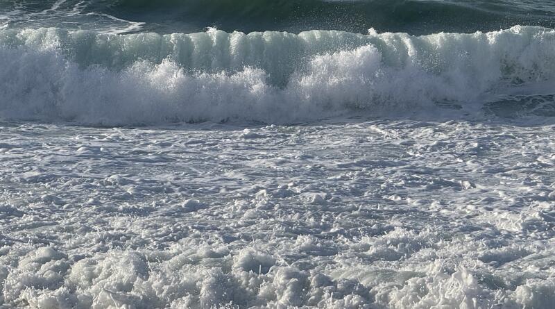 Сердце Севастополя и морская прогулка по двум бухтам img-16332