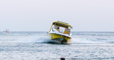 Киммерийская Мозаика img-16403