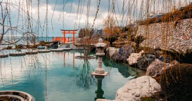 Японский сад "Шесть чувств" в отеле "Мрия"