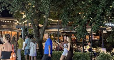 Крым: Два дворца - Воронцовский  &  Ливадийский, замок" Ласточкино гнездо" и морская прогулка в Ялте img-16069