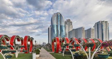 Город Грозный