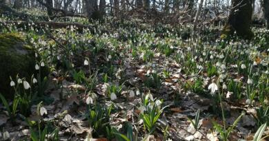 Поход на Аю-Даг (Место Силы).  Тайны и загадки горы Медведь img-16347