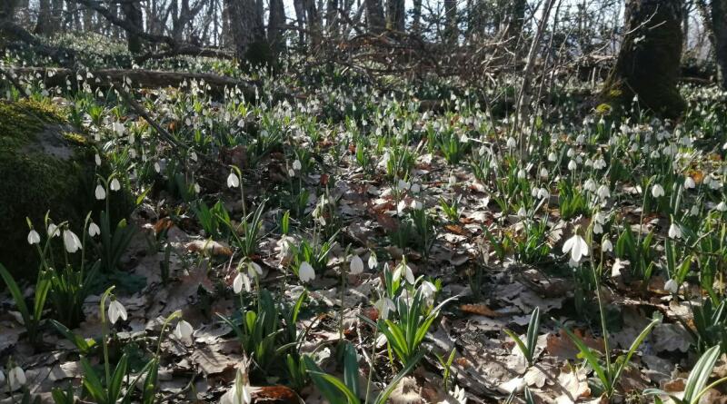 Поход на Аю-Даг (Место Силы).  Тайны и загадки горы Медведь img-16347