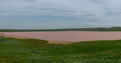 Розовое Кояшское озеро. Мыс Опук. img-12417
