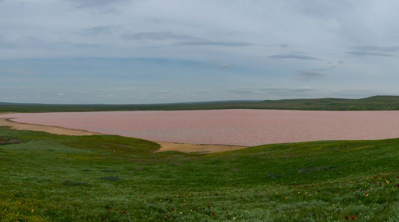 Розовое Кояшское озеро. Мыс Опук. img-12417
