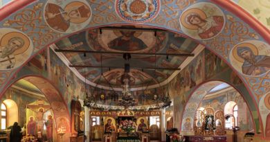 Топловский женский монастырь  св. вмч. Параскевы img-6013