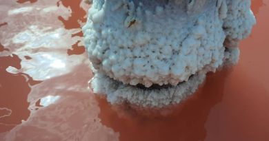 Розовое озеро, малый Иерусалим из Партенита img-8302